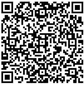 UPI Terminal QR